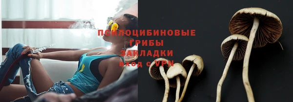 хмурый Алексеевка