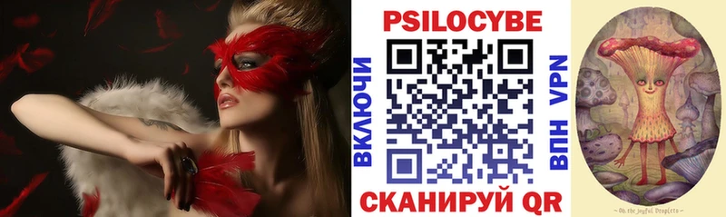 mega ССЫЛКА  Майкоп  Псилоцибиновые грибы MAGIC MUSHROOMS 